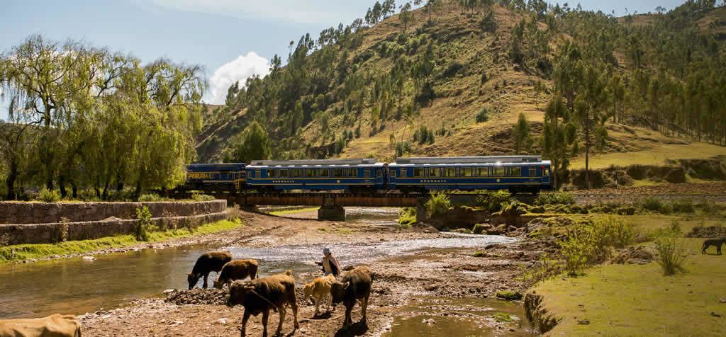 trenes a machupicchu