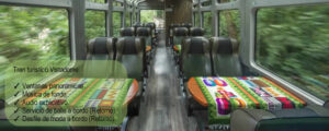tren turistico vistadome