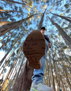 bosque de qenqo cusco