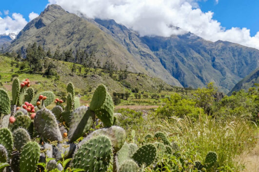 Chemin De L’inca