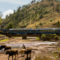 trains to machupicchu