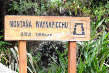 huayna picchu mountain