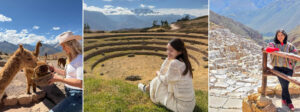 transfer maras moray